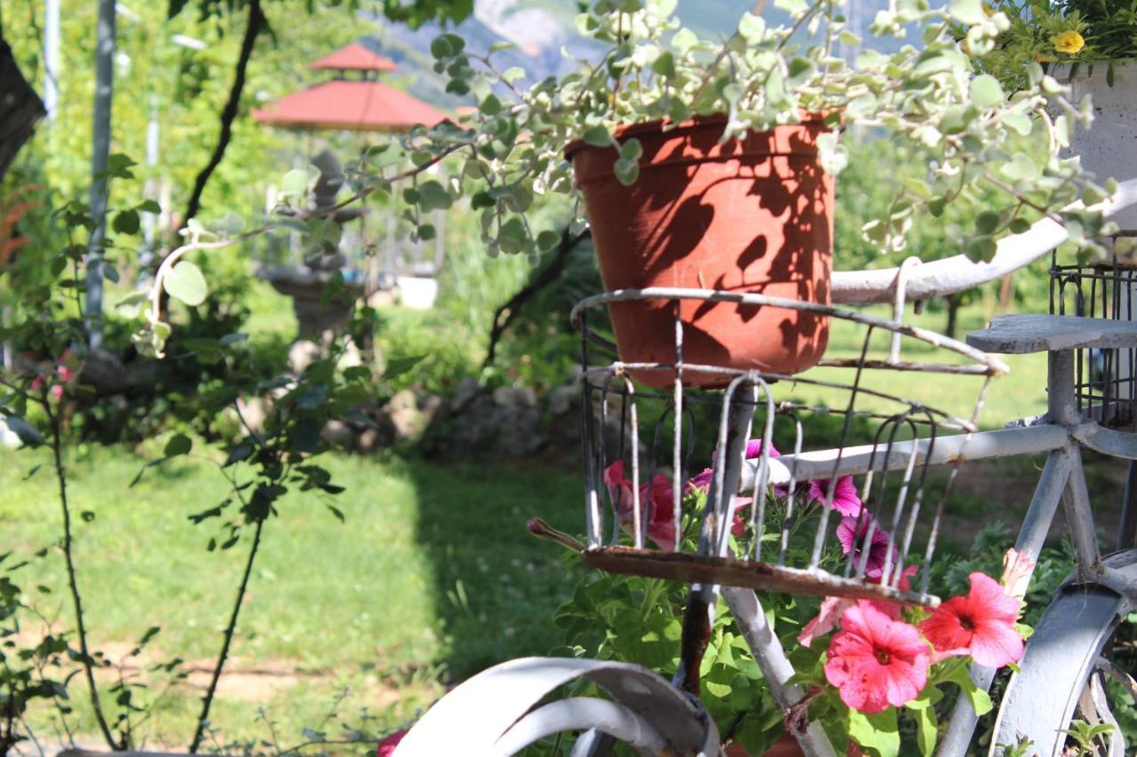 Casa Botanica Villa Blagaj Ngoại thất bức ảnh