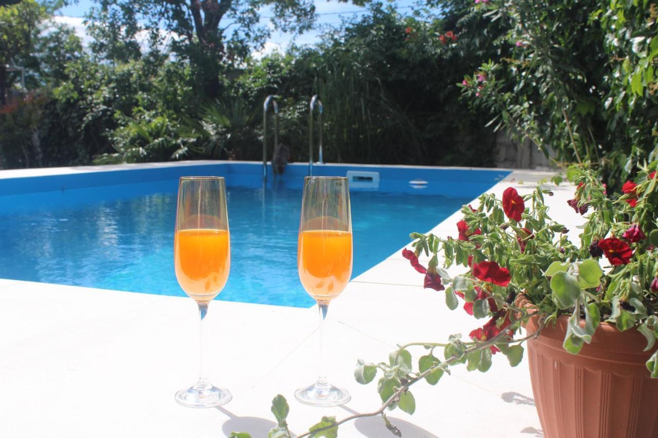 Casa Botanica Villa Blagaj Ngoại thất bức ảnh
